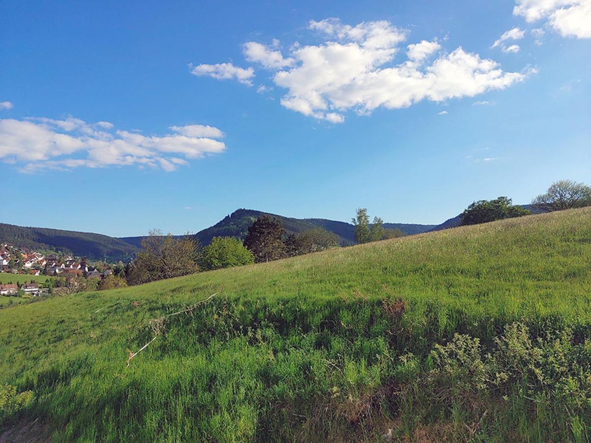 Apartmán Fuchsbau Baiersbronn Exteriér fotografie