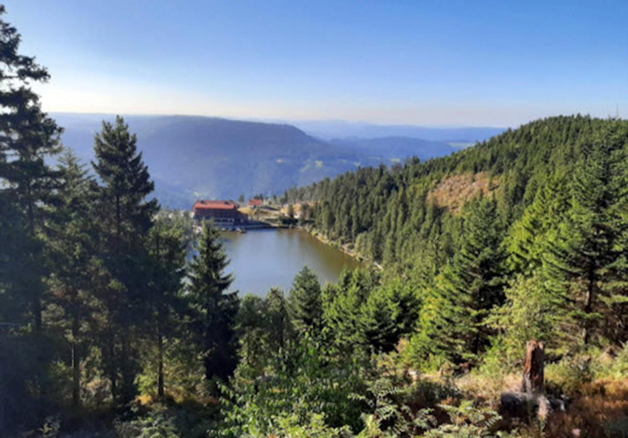 Apartmán Fuchsbau Baiersbronn Exteriér fotografie